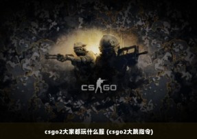 csgo2大家都玩什么服 (csgo2大跳指令)