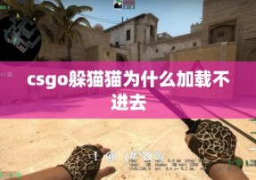 csgo躲猫猫为什么加载不进去