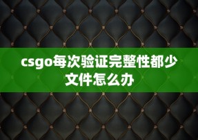 csgo每次验证完整性都少文件怎么办