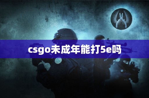 csgo未成年能打5e吗