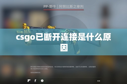 csgo已断开连接是什么原因