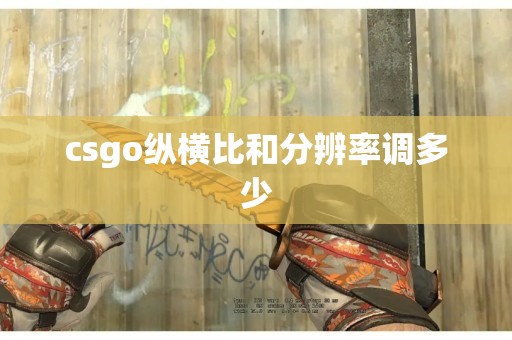 csgo纵横比和分辨率调多少