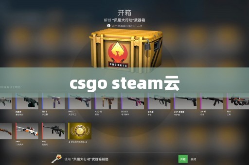csgo steam云