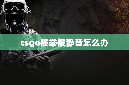 csgo被举报静音怎么办