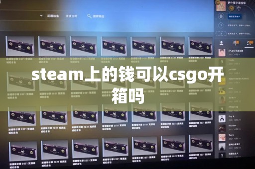 steam上的钱可以csgo开箱吗