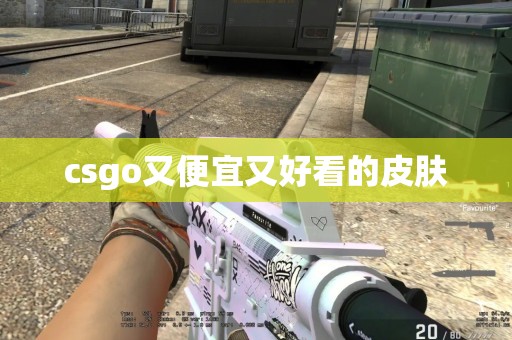 csgo又便宜又好看的皮肤