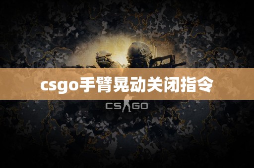 csgo手臂晃动关闭指令