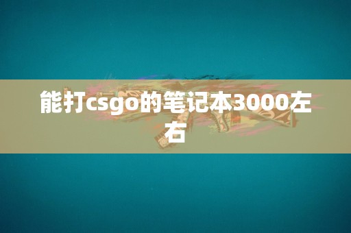 能打csgo的笔记本3000左右