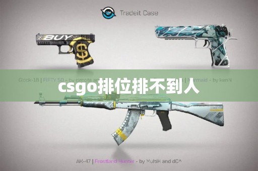 csgo排位排不到人