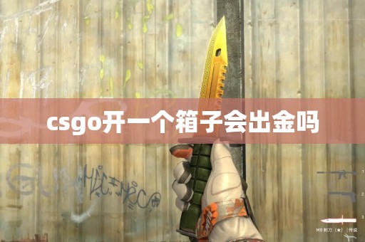 csgo开一个箱子会出金吗