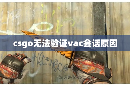 csgo无法验证vac会话原因