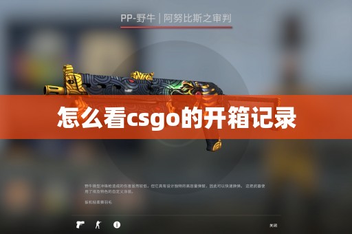 怎么看csgo的开箱记录