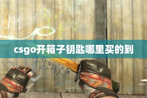 csgo开箱子钥匙哪里买的到