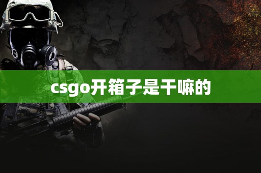 csgo开箱子是干嘛的