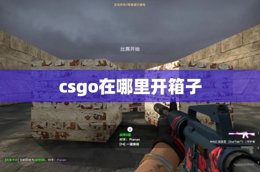 csgo在哪里开箱子