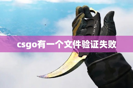 csgo有一个文件验证失败