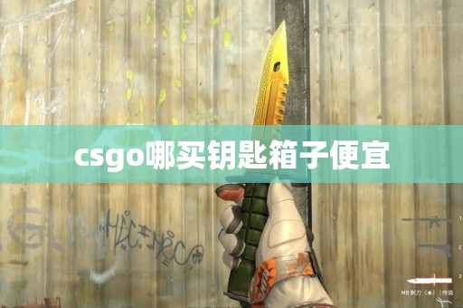 csgo哪买钥匙箱子便宜