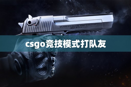 csgo竞技模式打队友