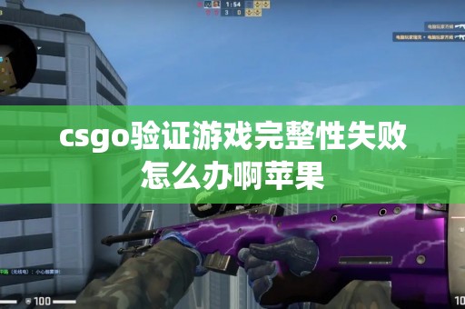 csgo验证游戏完整性失败怎么办啊苹果