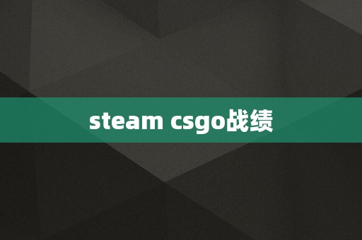 steam csgo战绩