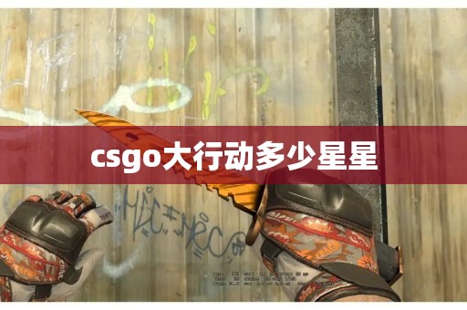 csgo大行动多少星星