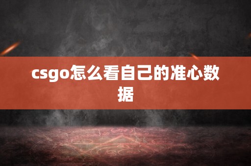 csgo怎么看自己的准心数据