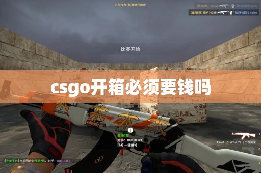 csgo开箱必须要钱吗