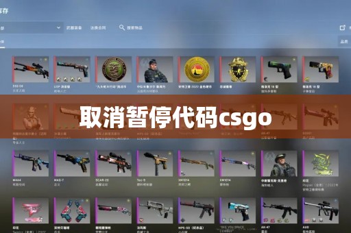 取消暂停代码csgo