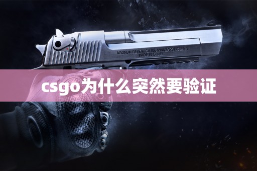 csgo为什么突然要验证