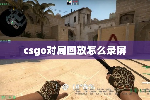 csgo对局回放怎么录屏