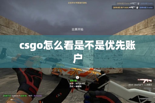 csgo怎么看是不是优先账户