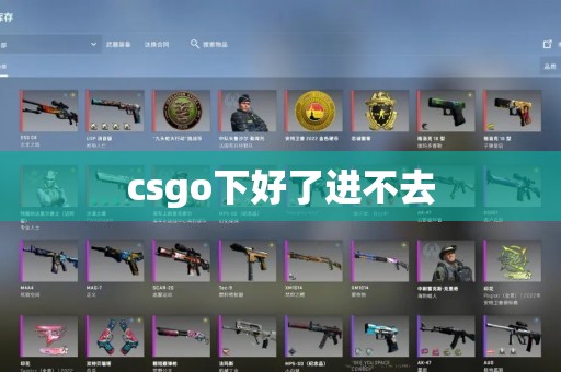 csgo下好了进不去