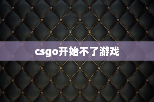 csgo开始不了游戏