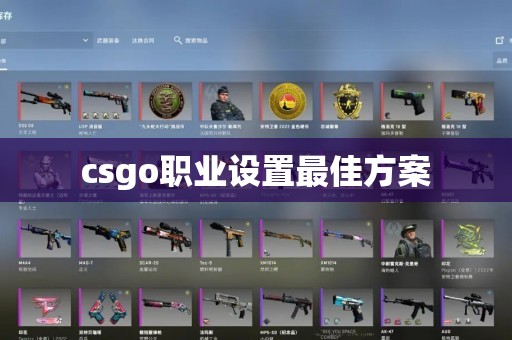 csgo职业设置最佳方案