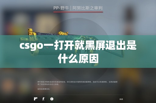 csgo一打开就黑屏退出是什么原因