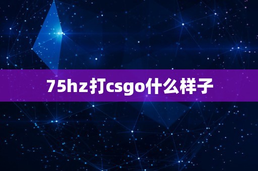 75hz打csgo什么样子