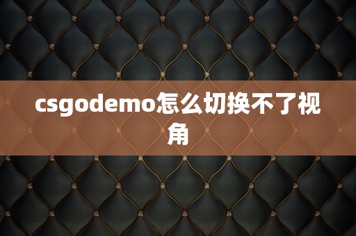 csgodemo怎么切换不了视角