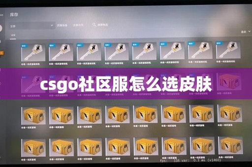 csgo社区服怎么选皮肤