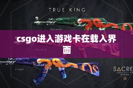 csgo进入游戏卡在载入界面