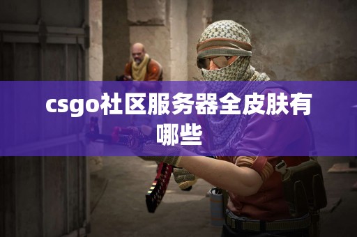 csgo社区服务器全皮肤有哪些