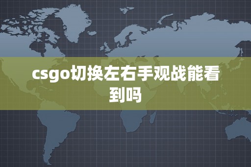 csgo切换左右手观战能看到吗