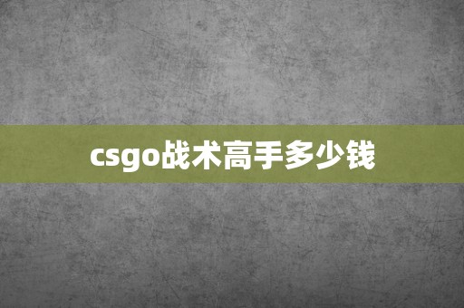 csgo战术高手多少钱