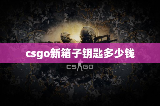 csgo新箱子钥匙多少钱