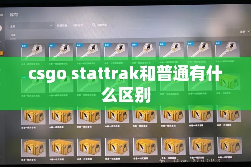 csgo stattrak和普通有什么区别