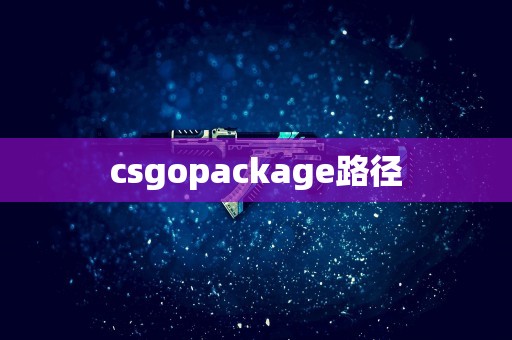 csgopackage路径