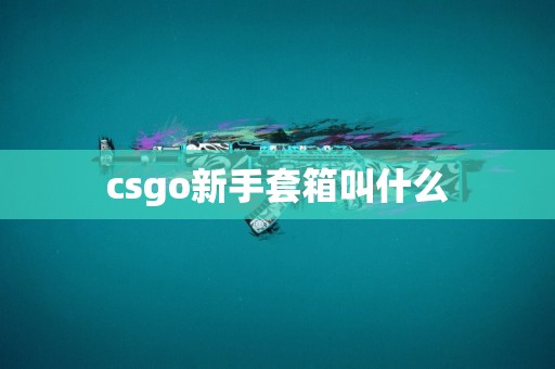 csgo新手套箱叫什么