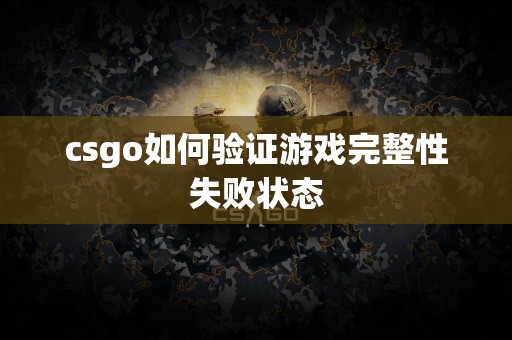 csgo如何验证游戏完整性失败状态