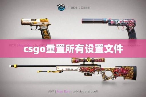 csgo重置所有设置文件