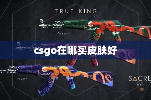 csgo在哪买皮肤好