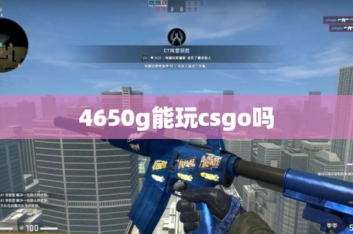 4650g能玩csgo吗